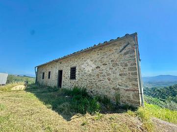 CASA INDIPENDENTE A CARMIGNANO
