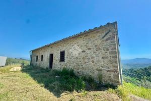 CASA INDIPENDENTE A CARMIGNANO