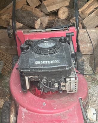 Macchinetta tagliaerba