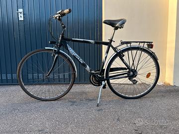 Bici citybike uomo