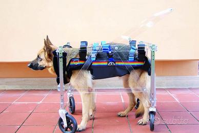 CARRELLO PER CANI