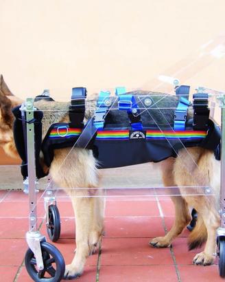 CARRELLO PER CANI