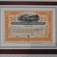 certificato azionario New York Ontario