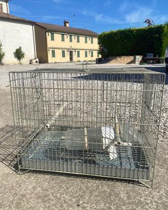 Gabbia per uccellini