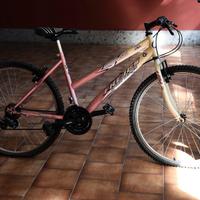 Bici donna grande