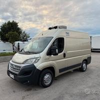 Fiat ducato 2.3 mjet frigo trasporto carne atp 09-