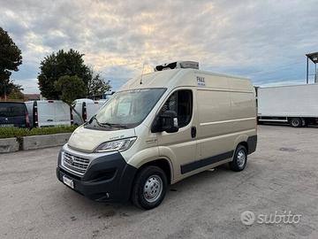 Fiat ducato 2.3 mjet frigo trasporto carne atp 09-