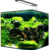 Amtra Nanotank System 36 