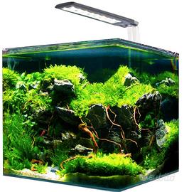 Amtra Nanotank System 36 