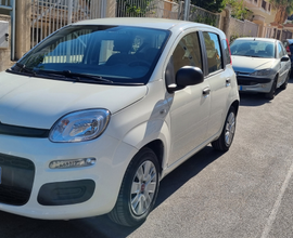 Fiat Panda 3° serie Easy 1.2 cc 69 cv - 2017 GPL