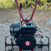 Motozappa Zanetti 7cv Diesel nuovo