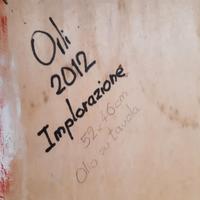 Opera olio su Tavola - artista Orli Ziv