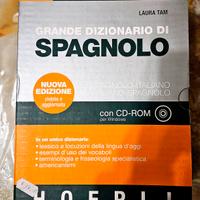 Dizionario spagnolo
