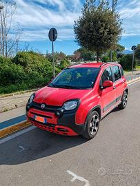 Panda Red hybrid 2022