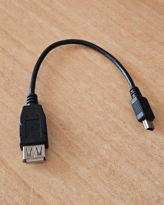 Adattatore USB On-The-Go (OTG)