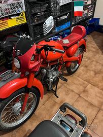 Motom 50