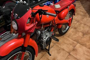 Motom 50