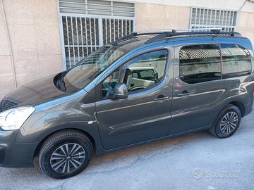 peugeut partner type