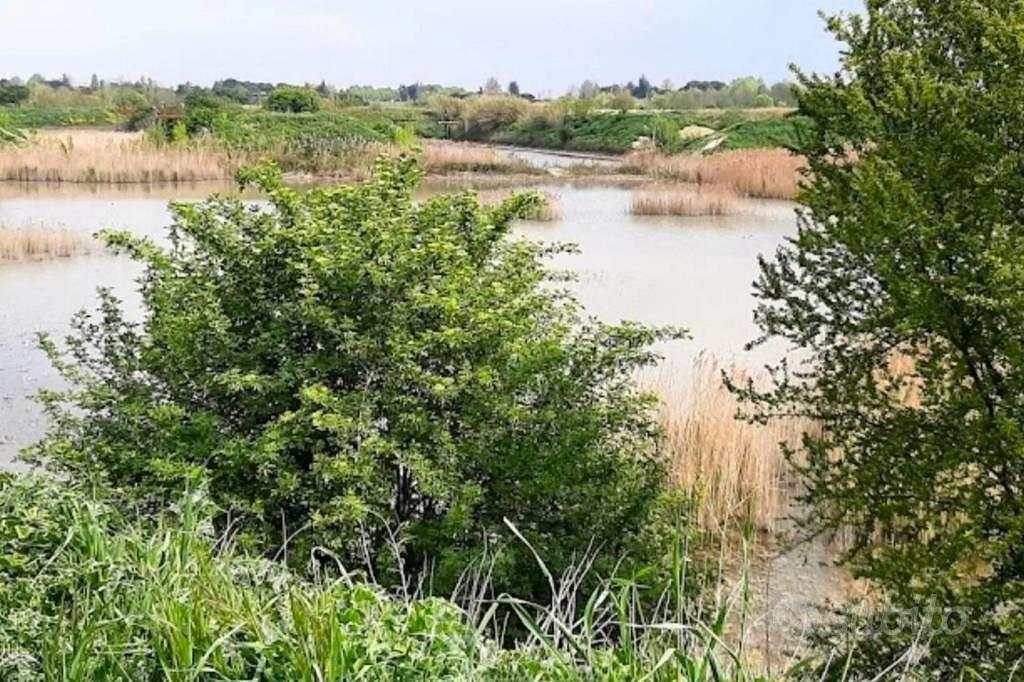 Immobile in asta di 295969 m² a Forlimpopoli - Vista 5