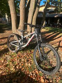 Downhill saracean myst pro 2024