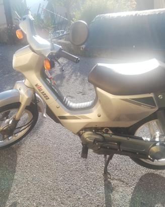 Motorino Honda Wallaroo PK 50 ML