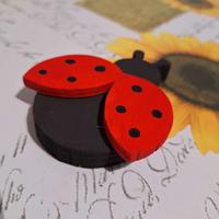 Coccinella in legno fatta a mano