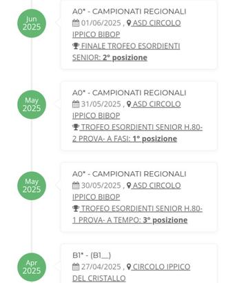 Cavallo da scuola