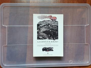 La Città e il Sogno - F. Bronzini