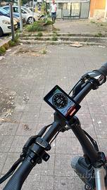 Bicicletta elettrica dardo 48