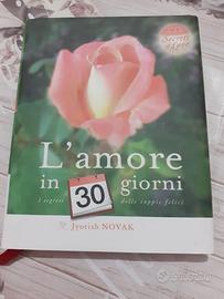 l'amore in 30 giorni 