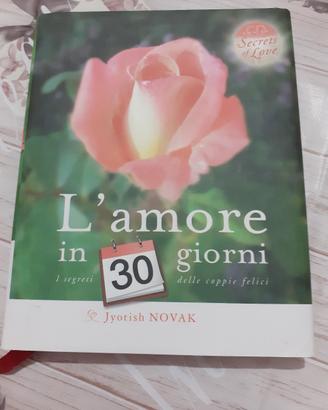 l'amore in 30 giorni 