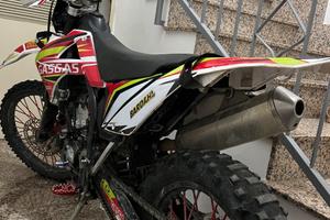 Gas gas 250