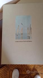 libro antico di LOVERR