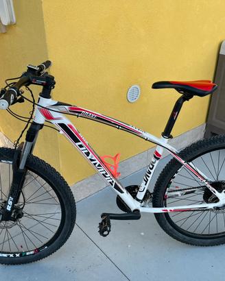 Mountain-bike