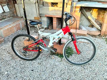 bicicletta per ragazzi 