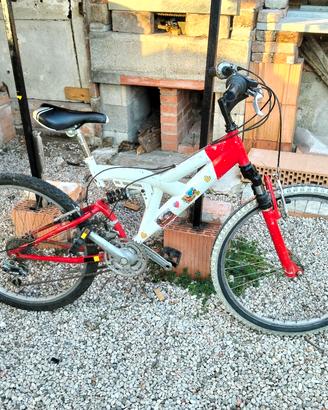 bicicletta per ragazzi 