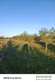 Terreno agricolo villasor