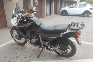 Honda XL 600 V Transalp - 1998