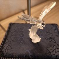 Libellula Swarovski