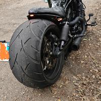 harley v rod night rod custom 300 olologato