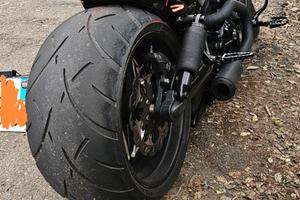 harley v rod night rod custom 300 olologato