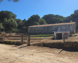 Terreno con casolare da riattare