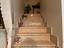 Immagine 22