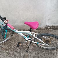 Bicicletta bambina 20