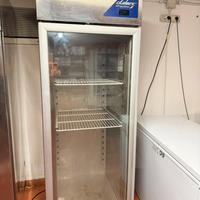 1 frigo e 2 freezer professionali usati