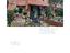 Immagine 19