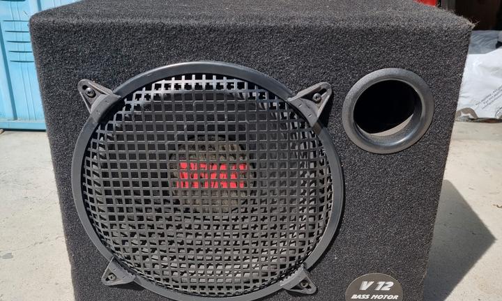 SubWoofer auto Revac 300 Watt