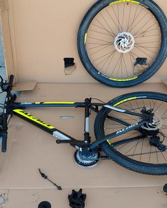 Atala SNAP 29 TG M