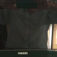 Televisore  LCD NIKKEI 15,6  