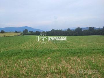 TERRENO AGRICOLO COLTIVATO PIANEGGIANTE